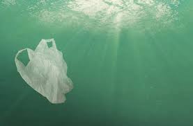 Сегодня же многие даже не помнят, что такое авоська. Plastikovye Pakety Ujdut V Proshloe Infokam