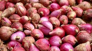 Awalnya ibu bawang merah dan bawang merah sangat baik kepada bawang putih. 7 Manfaat Bawang Merah Untuk Kesehatan Anda