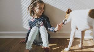 We all love our pets and now. 8 Best Pets For Kids What Type Of Pet Is Best For You