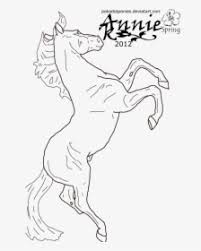 Ultimate horse coat color guide featuring mostly blm mustangs. The Multi Colored Horse Of My Imagination Horse Drawing Facing Right Hd Png Download Kindpng