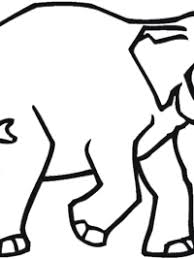 Hier hebben we een paar van de mooiste olifanten kleurplaten voor je verzameld. Kleurplaten Olifant Topkleurplaat Nl