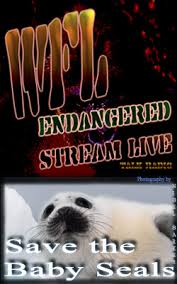 Wfl Endangered Stream Live Save The Baby Seals