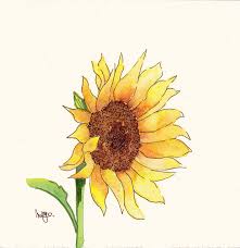 Watercoloreveryday May 2011 Sunflower Watercolor Painting Watercolor Sunflower Sunflower Art