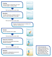 101,965 likes · 660 talking about this · 956 were here. Types Of Elisa Bio Rad