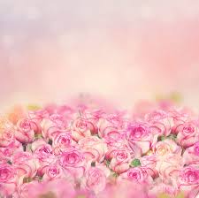 Check spelling or type a new query. Beautiful Pink Roses For Background Photograph By Svetlana Foote