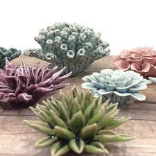 We did not find results for: Coral 1 Kit 48pc Assortment Chive Wholesale