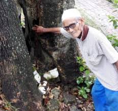 Dalam ajaran islam, seorang muslim diharamkan memakan harta riba'. 5 Spesis Pokok Ini Sering Jadi Tumpuan Makhluk Halus Kongsi Si Penggali Kubur Remaja