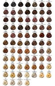 8 best loreal hair color chart images in 2019 loreal hair