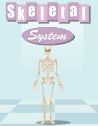 Abcya Skeletal System Label The Bones Online Game Skeletal System Interactive Learning Learning Sites