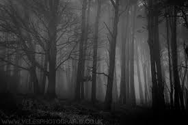 Haunted Woods Ii By Velesphotos Haunted Woods Haunting Art