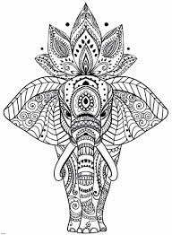 Download and print these free printable flower coloring pages for free. Flowers Coloring Book Pdf Beautiful Free Flower Colouring Pages Meriwer Coloring