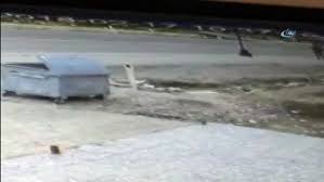 Roket 29 nisan'da uzaya fırlatılmıştı. Roketten Boyle Kacti