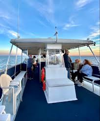 If you think all of that sounds amazing, just wait until you see the sunset. The Palmetto Sandlapper Water Tours