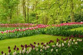 Floriade Holand 2022 Ross Garden Tours