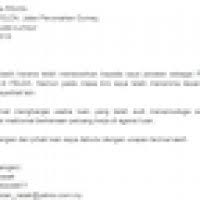 Surat lamaran kerja ini akan menjelaskan tentang profil calon pekerja apakah layak bekerja di perusahaan tersebut atau tidak. Contoh Surat Menolak Tawaran Kerja