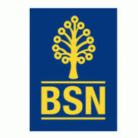 Your privacy is important to us. Bank Simpanan Nasional Brands Of The World Download Vector Logos And Logotypes