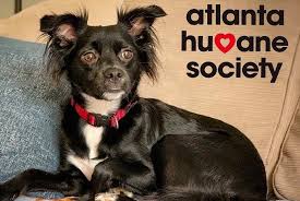 We also have the opportunity to celebrate all the presidential pets with checkers day and are reminded that pet insurance is well. National Pet Day And Atlanta Humane Society Pet Drive 2021 Adventures In Atlanta