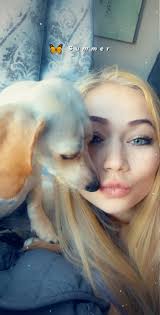 Dachshund Puppies For Sale in New Jersey