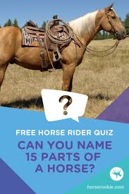 The 1960s produced many of the best tv sitcoms ever, and among the decade's frontrunners is the beverly hillbillies. Quiz March 2020
