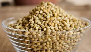 Contextual translation of serbuk ketumbar into english. Ketumbar In English