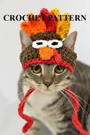 Crochet Pattern Thanksgiving Turkey Hat For Pets Crochet Cat Hat Cat Hat Pattern Thanksgiving Crochet Patterns