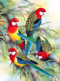 What Are 5d Diamond Painting Custom Photo Collections And Tips Ideias Para Pintura Pinturas De Cruz Pinturas De Passaros