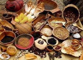 Foods Of Woodland Indians Native American Food American Food Native Foods