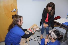 Discount taken on the petco regular price and is reflected in the product's free standard shipping exclusions: Fresno Vet Expands Offerings For Man S Best Friends The Business Journal
