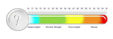 More About Bmi Chart