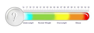 bmi calculator for children