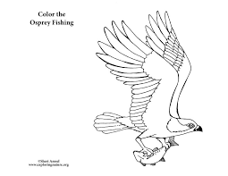 Free, printable mandala coloring pages for adults in every design you can imagine. Bird Coloring Pages Free Printable Realistic