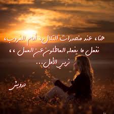 هنا عند منحدرات التلال أمام الغروب نفعل ما يفعله العاطلون عن العمل نربي الأمل درويش Cool Words Spoken Word Poetry Poems Life Words
