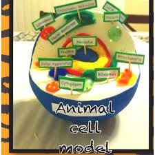 Image Result For Animal Cell Model Styrofoam Ball Animal Cell Cells Project Animal Cells Model