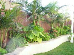 Palm tree flower bed ideas. 56 Palm Trees Ideas Tropical Landscaping Landscape Design Garden Design