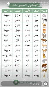 pin by ghadur noor on تعليمي language arabic quotes words