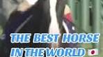 Equinox Wins Second Tenno Sho (Autumn) in Record Time!
