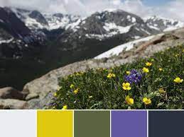 The summer vibes color scheme palette has 5 colors which are mountain meadow (#23d398), shandy (#fbeb75), carnation pink (#faa9bf), blond (#fbeec6) and coral reef (#ff7a74). 18 Color Palettes Inspired By National Parks Hgtv