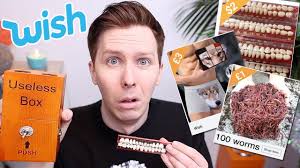 Buying The 6 Strangest Things From Wish Ads
