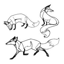 Free Line Art Forget Me Not Drawings Fox Illustration Line Art Images