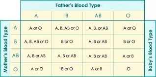 If The Parents Are Of The Same Blood Group What Are The
