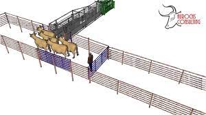 Check spelling or type a new query. Aurochs Beef Consulting Bud Box Video Facebook