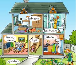 bedroom, bathroom, kitchen, living room