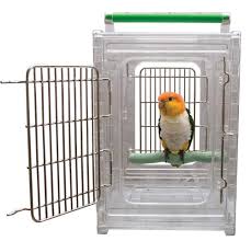 Birds Travel Carrier Durable Cage Polycarbonate Pet Tray Perch Easy Clean Set Birdstravelcarrier Bird Carrier Parrot Carrier Bird Travel Carrier