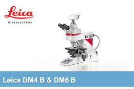 Import quality microscope lens supplied by experienced manufacturers at global sources. Leica Upright Light Microscopes