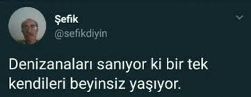 Nemo Adli Kullanicinin Sefikdiyin Panosundaki Pin Ozlu Sozler Anlamli Alintilar Gercekler