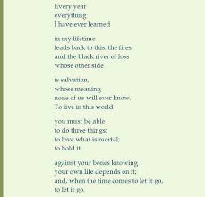 Mary Oliver An Excerpt From Blackwater Woods Mary Oliver Poems Poems Beautiful Writing Quotes