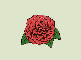 Camellia Alabama State Flower By Patrick Torres Camellia Plant Camellia Flower Tree Tattoo