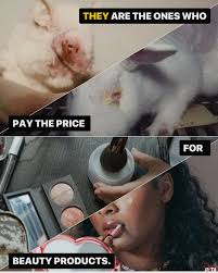 PETA (People for the Ethical Treatment of Animals)