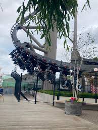 Image result for Grona