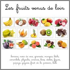 Les Fruits Venus De Loin Fruits Et Legumes Les Noms Des Fruits Fruit